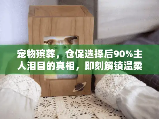 宠物殡葬，仓促选择后90%主人泪目的真相，即刻解锁温柔告别