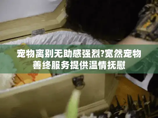 宠物离别无助感强烈?宽然宠物善终服务提供温情抚慰