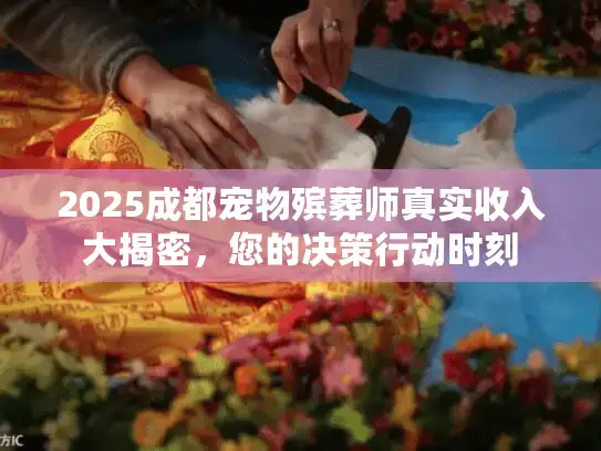 2025成都宠物殡葬师真实收入大揭密，您的决策行动时刻