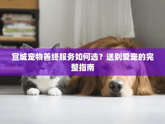 宣城宠物善终服务如何选？送别爱宠的完整指南