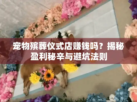 宠物殡葬仪式店赚钱吗？揭秘盈利秘辛与避坑法则
