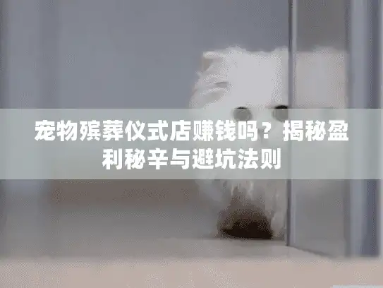 宠物殡葬仪式店赚钱吗？揭秘盈利秘辛与避坑法则
