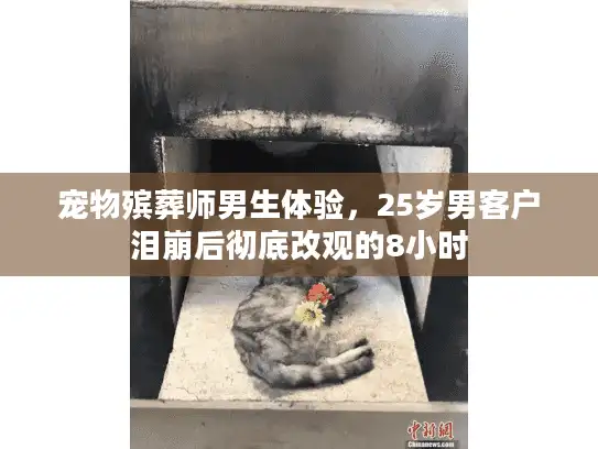 宠物殡葬师男生体验，25岁男客户泪崩后彻底改观的8小时
