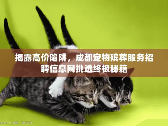 揭露高价陷阱，成都宠物殡葬服务招聘信息网挑选终极秘籍
