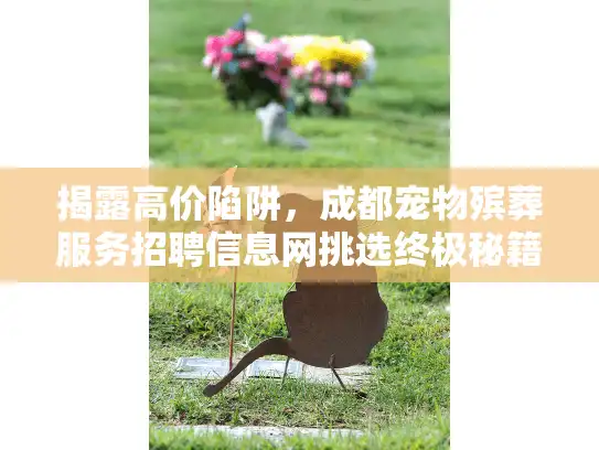 揭露高价陷阱，成都宠物殡葬服务招聘信息网挑选终极秘籍