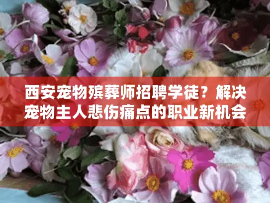 西安宠物殡葬师招聘学徒？解决宠物主人悲伤痛点的职业新机会
