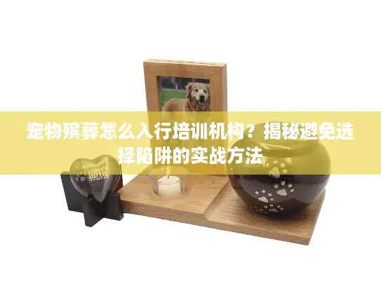 宠物殡葬怎么入行培训机构？揭秘避免选择陷阱的实战方法