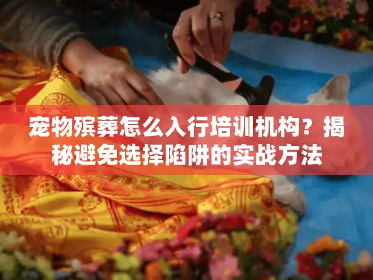 宠物殡葬怎么入行培训机构？揭秘避免选择陷阱的实战方法