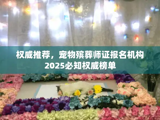 权威推荐，宠物殡葬师证报名机构2025必知权威榜单