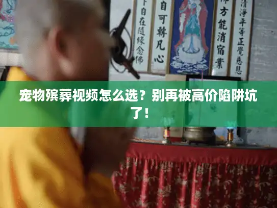 宠物殡葬视频怎么选？别再被高价陷阱坑了！