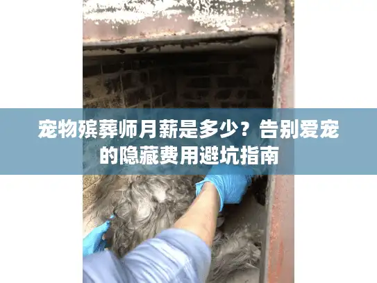 宠物殡葬师月薪是多少？告别爱宠的隐藏费用避坑指南