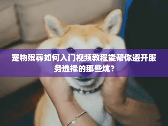 宠物殡葬如何入门视频教程能帮你避开服务选择的那些坑？