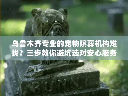乌鲁木齐专业的宠物殡葬机构难找？三步教你避坑选对安心服务