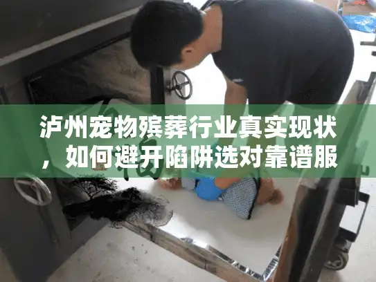 泸州宠物殡葬行业真实现状，如何避开陷阱选对靠谱服务？