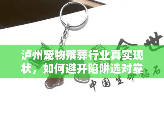 泸州宠物殡葬行业真实现状，如何避开陷阱选对靠谱服务？