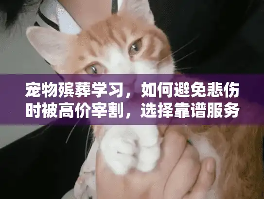 宠物殡葬学习，如何避免悲伤时被高价宰割，选择靠谱服务？