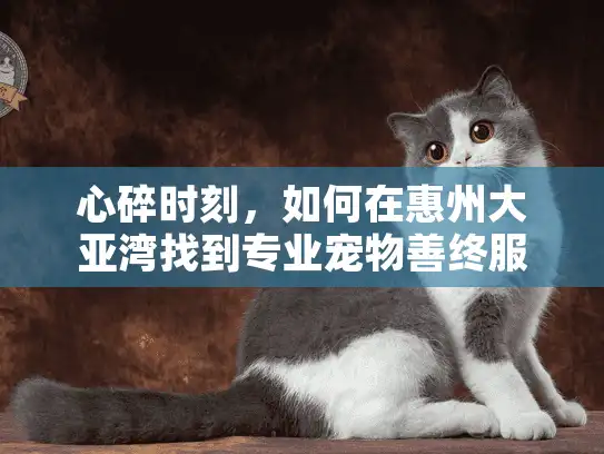 心碎时刻，如何在惠州大亚湾找到专业宠物善终服务？