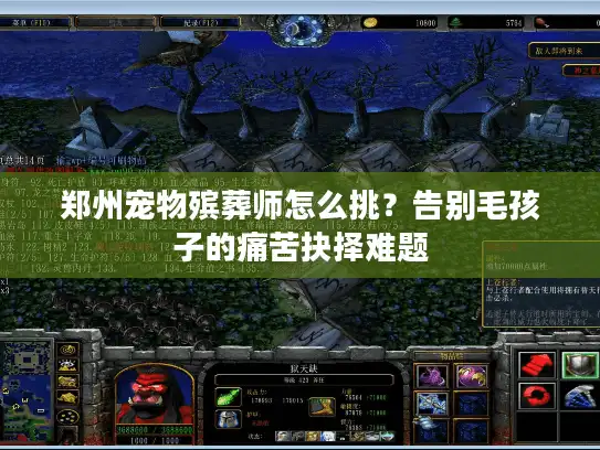 郑州宠物殡葬师怎么挑？告别毛孩子的痛苦抉择难题