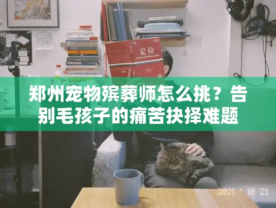 郑州宠物殡葬师怎么挑？告别毛孩子的痛苦抉择难题