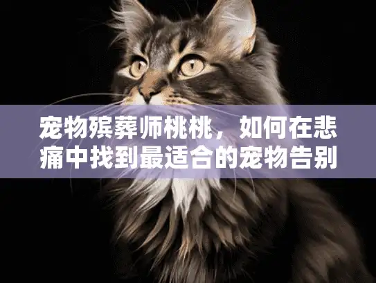宠物殡葬师桃桃，如何在悲痛中找到最适合的宠物告别服务？
