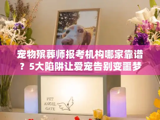 宠物殡葬师报考机构哪家靠谱？5大陷阱让爱宠告别变噩梦