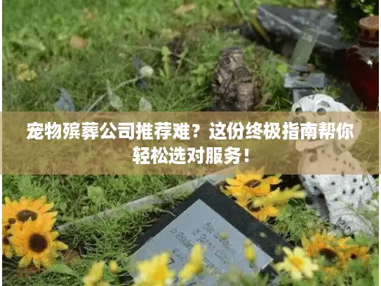 宠物殡葬公司推荐难？这份终极指南帮你轻松选对服务！