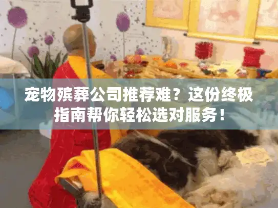 宠物殡葬公司推荐难？这份终极指南帮你轻松选对服务！