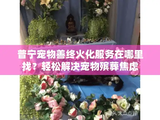 普宁宠物善终火化服务在哪里找？轻松解决宠物殡葬焦虑