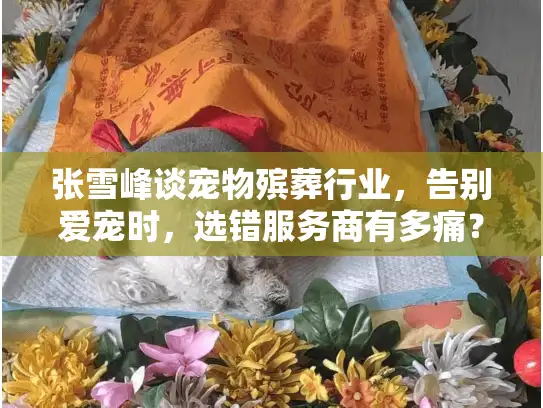 张雪峰谈宠物殡葬行业，告别爱宠时，选错服务商有多痛？