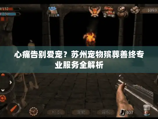 心痛告别爱宠？苏州宠物殡葬善终专业服务全解析
