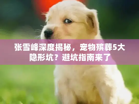 张雪峰深度揭秘，宠物殡葬5大隐形坑？避坑指南来了