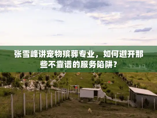 张雪峰讲宠物殡葬专业，如何避开那些不靠谱的服务陷阱？