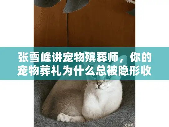 张雪峰讲宠物殡葬师，你的宠物葬礼为什么总被隐形收费坑？
