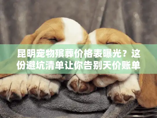 昆明宠物殡葬价格表曝光？这份避坑清单让你告别天价账单