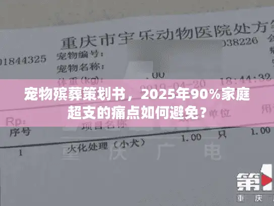 宠物殡葬策划书，2025年90%家庭超支的痛点如何避免？