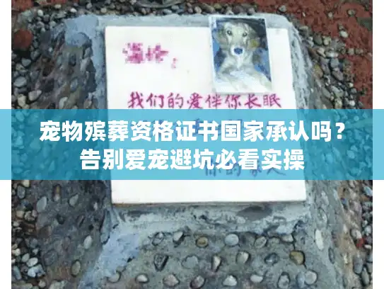 宠物殡葬资格证书国家承认吗？告别爱宠避坑必看实操