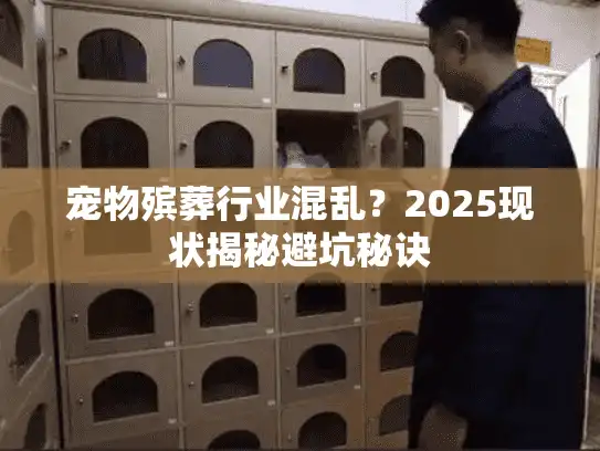 宠物殡葬行业混乱？2025现状揭秘避坑秘诀