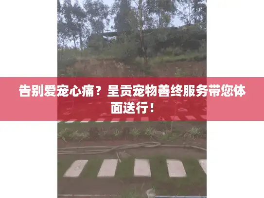 告别爱宠心痛？呈贡宠物善终服务带您体面送行！