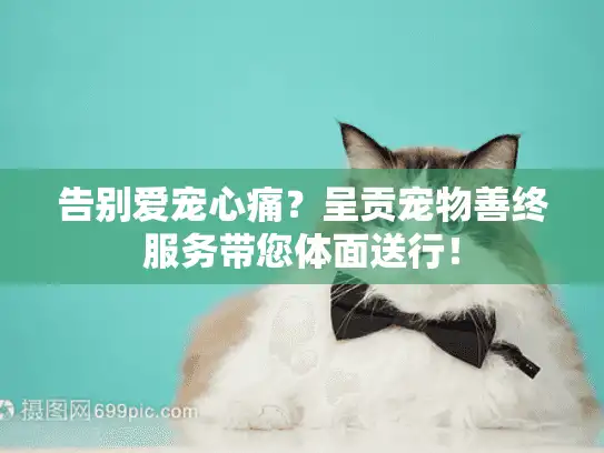 告别爱宠心痛？呈贡宠物善终服务带您体面送行！