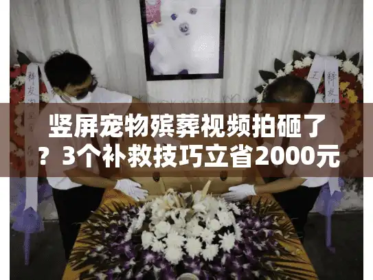 竖屏宠物殡葬视频拍砸了？3个补救技巧立省2000元