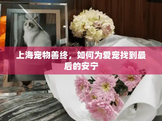 上海宠物善终，如何为爱宠找到最后的安宁