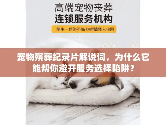 宠物殡葬纪录片解说词，为什么它能帮你避开服务选择陷阱？