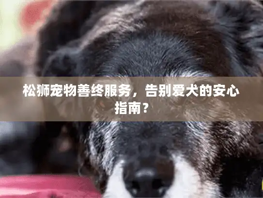 松狮宠物善终服务，告别爱犬的安心指南？