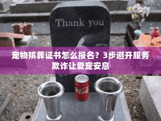 宠物殡葬证书怎么报名？3步避开服务欺诈让爱宠安息