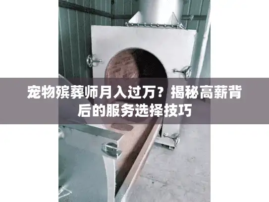 宠物殡葬师月入过万？揭秘高薪背后的服务选择技巧