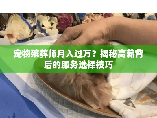 宠物殡葬师月入过万？揭秘高薪背后的服务选择技巧