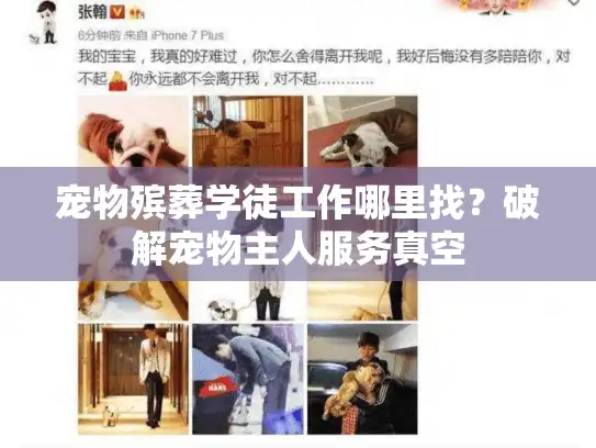 宠物殡葬学徒工作哪里找？破解宠物主人服务真空
