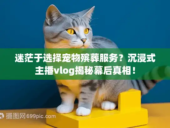 迷茫于选择宠物殡葬服务？沉浸式主播vlog揭秘幕后真相！