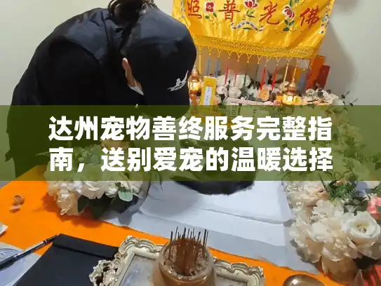 达州宠物善终服务完整指南，送别爱宠的温暖选择
