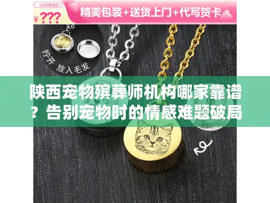 陕西宠物殡葬师机构哪家靠谱？告别宠物时的情感难题破局指南